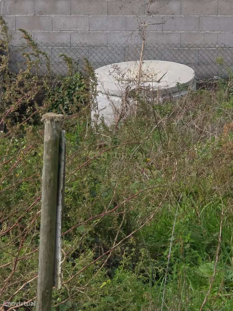 Terreno Rústico em Póvoa de Varzim com Frutíferas - Grande imagem: 2/7