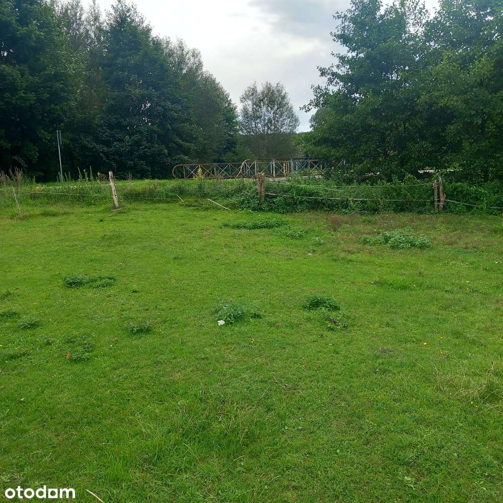 Przy działce rzeczka, las, asfaltowa droga, pozwolenie na budowę media - Pełny obrazek: 4/11