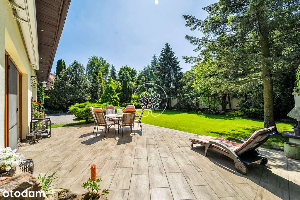 Dobra lokalizacja / Piękna działka / Wolnostojący - Pełny obrazek: 4/19