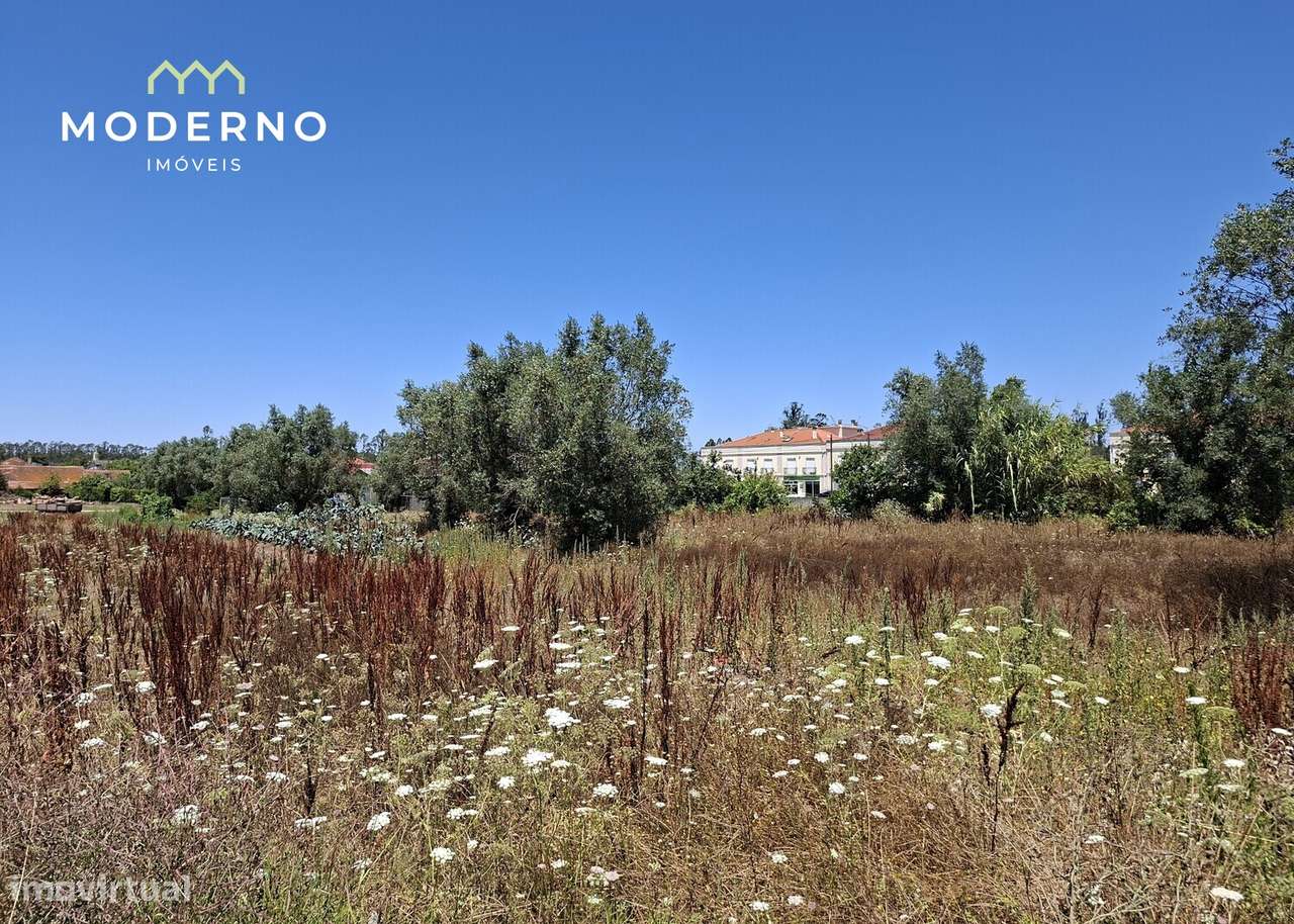 Terreno Construção – Moitas Brancas, Ilha, Pombal-10
