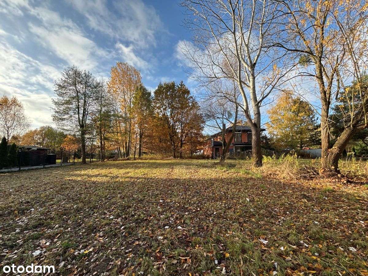 Zbuduj dom blisko lasu - Pełny obrazek: 5/7