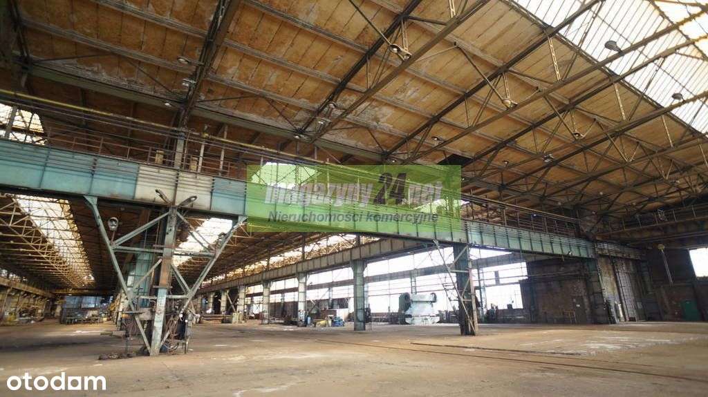 magazyn do wynajecia 2000 m2 Skierniewice - Pełny obrazek: 4/14