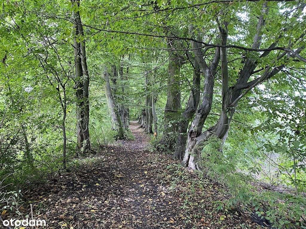 Działka w pięknej okolicy przyrody !!! - Pełny obrazek: 4/9