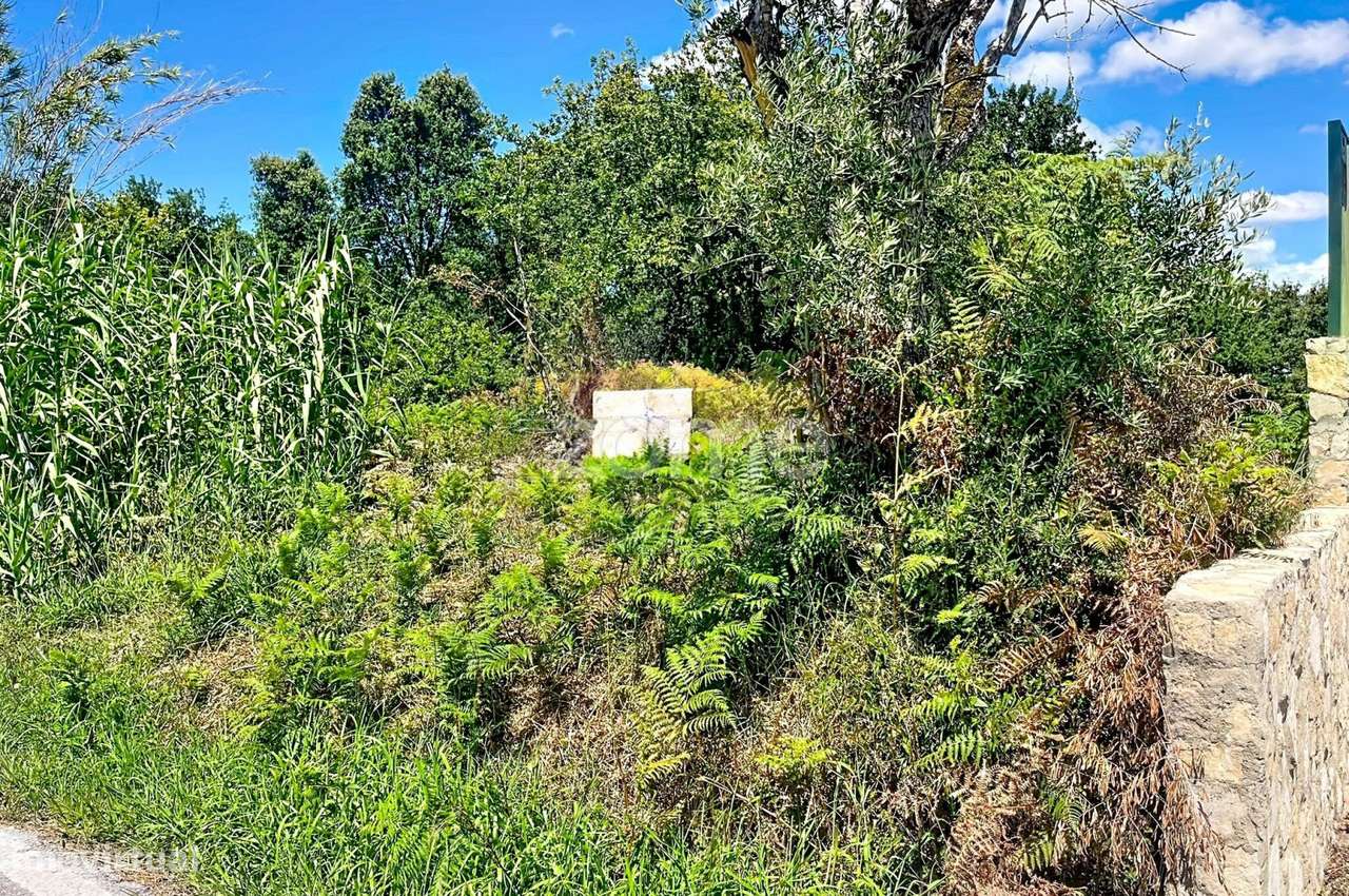 Terreno Misto em Aradazubre 1560 m²-12