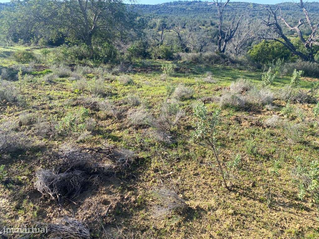Lote de terreno rústico situado em zona muito tranquila, Boliqueime... - Grande imagem: 2/14