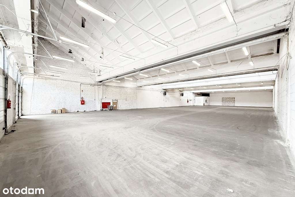 Ogrzewany magazyn, rampa i bramy z poziomu 0 - Pełny obrazek: 4/7