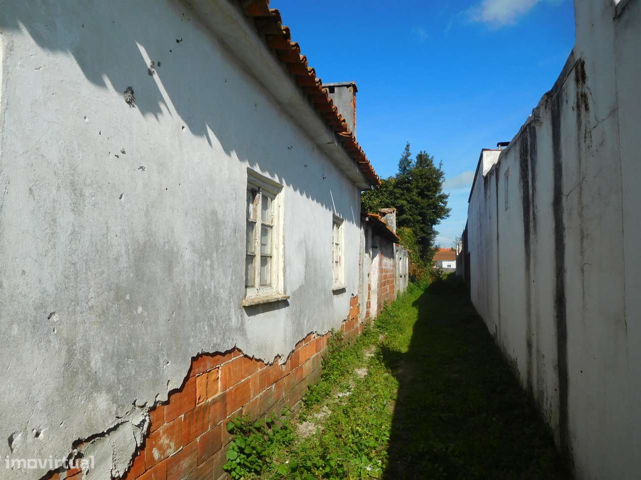 2 Moradias para reconstruir + Terreno 3700m2  / Comeira / Marinha Gran - Grande imagem: 4/19