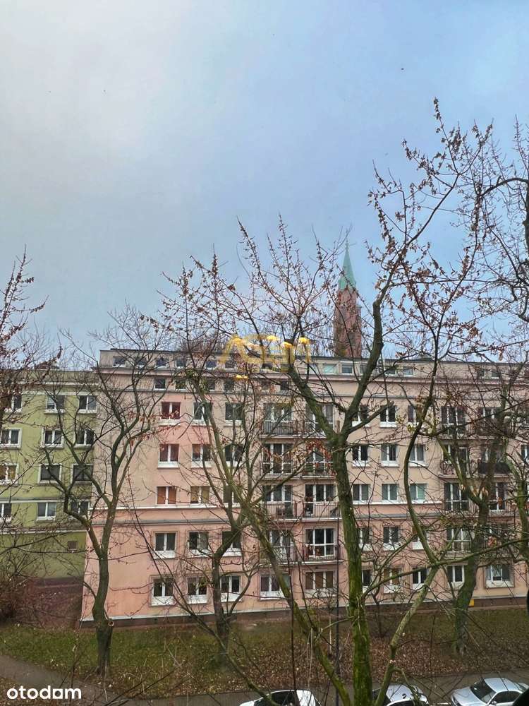 Muranów, kompaktowe 2p+Oddzielna kuchnia.Kamienica-11