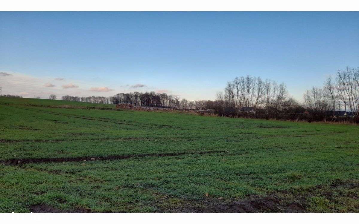 Działki, 10 arów i więcej, Lubin, Krzeczyn-0