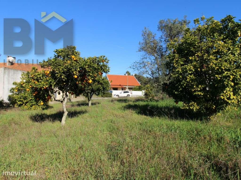 Terreno para construção - Grande imagem: 3/7