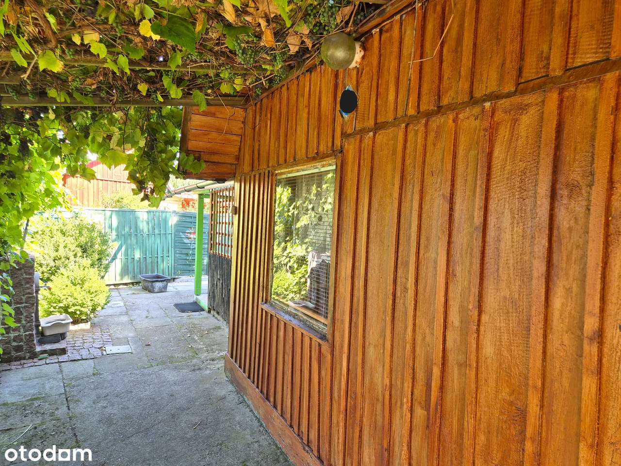 Działka rekreacyjna, ROD "Poziomka" z drewnianym domkiem - Pełny obrazek: 5/8