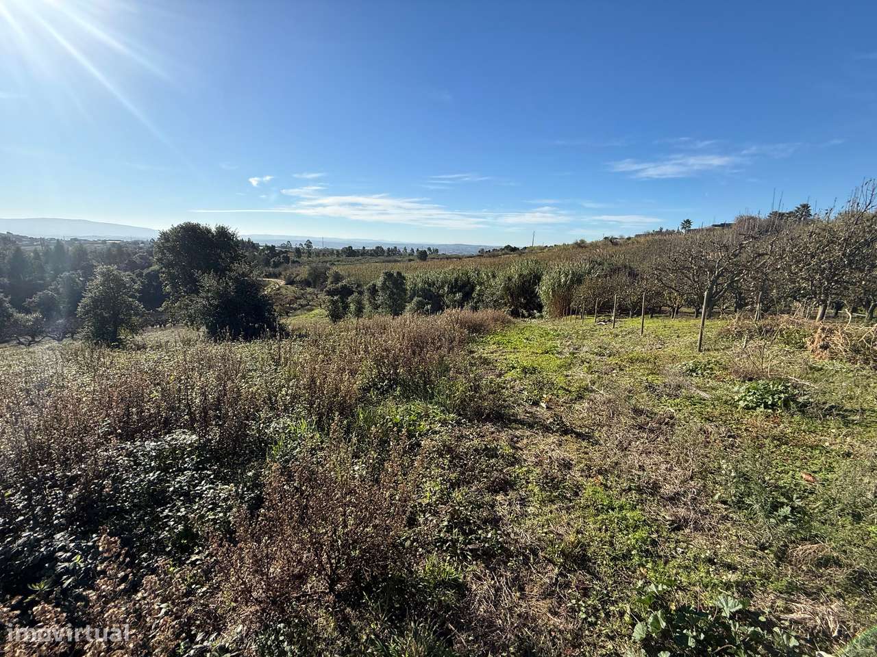 Terreno de 2.480m2 para construção - Usseira, Óbidos-9