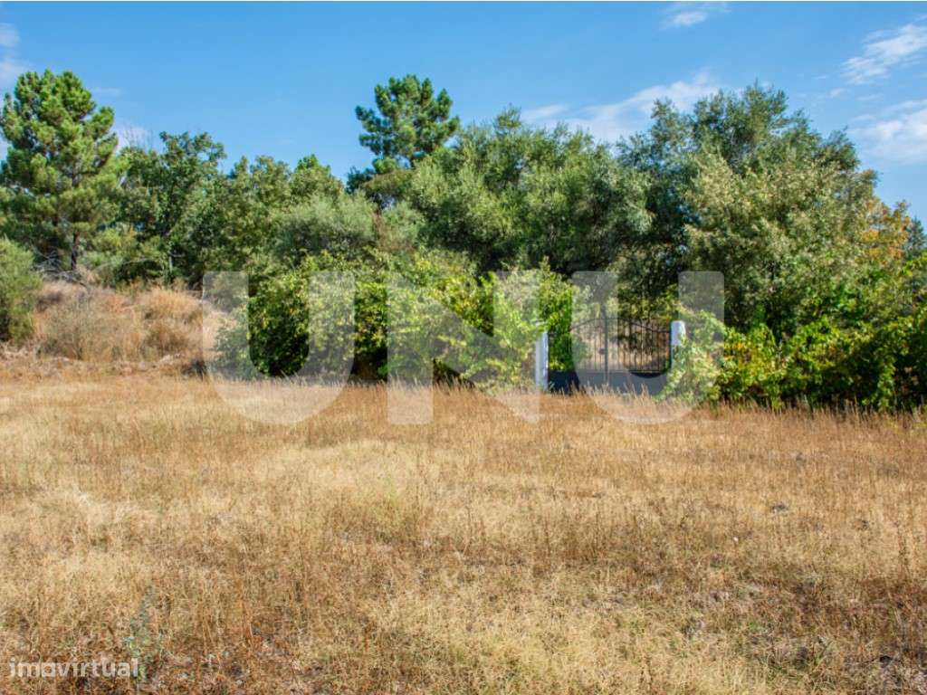 Terreno Rústico com 8900m2 para venda na Aldeia de Orca (Fundão). - Grande imagem: 2/11
