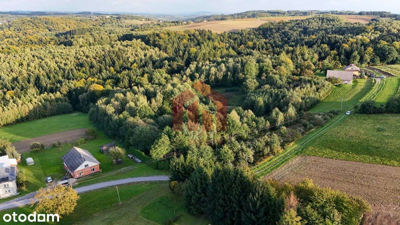 1,47 ha, Wz! dom w lesie? biznes? Jedyna taka!-11
