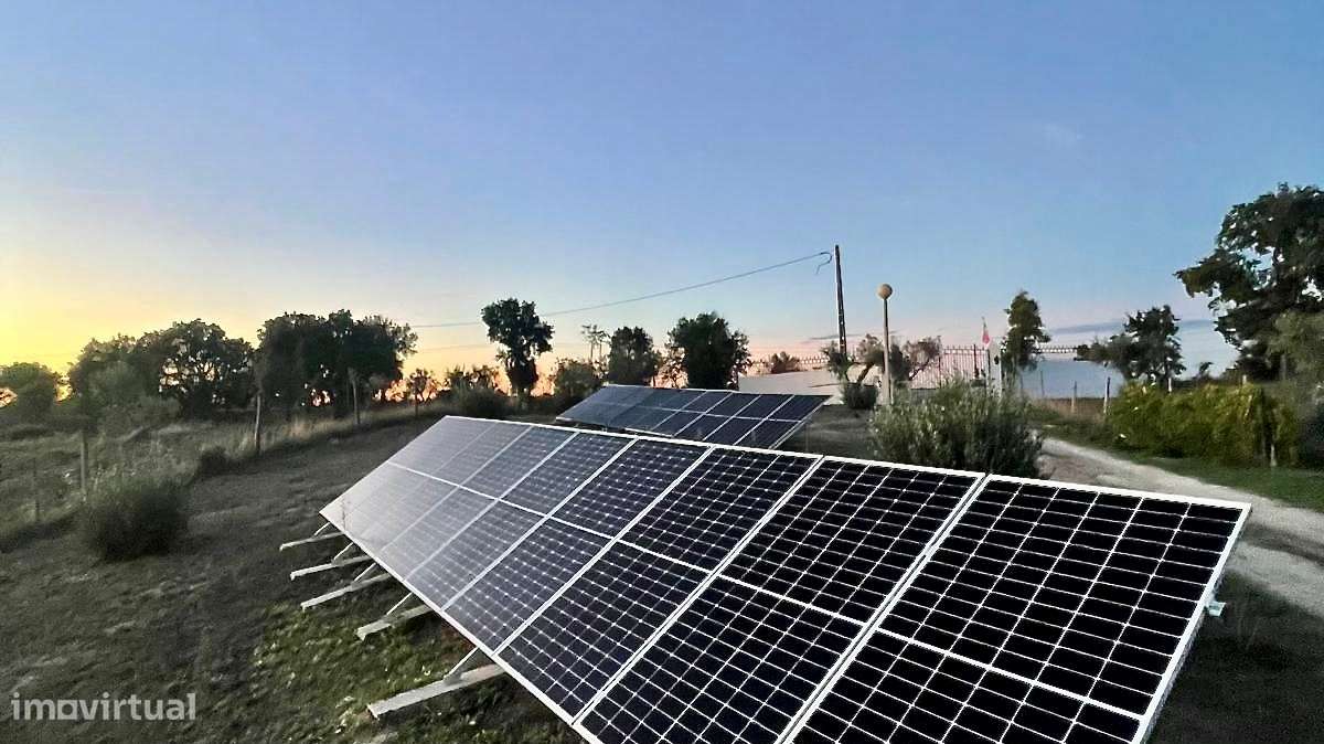 Quinta T5 Venda em Arez e Amieira do Tejo,Nisa - Grande imagem: 4/41