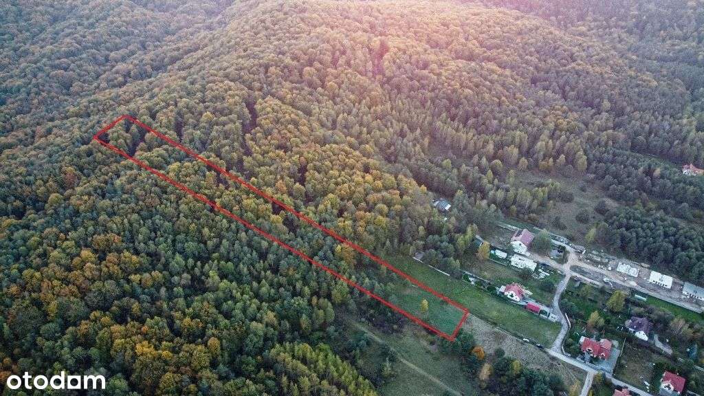 Działka budowlana z własnym lasem-6