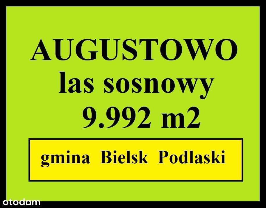 AUGUSTOWO - grunty leśne 9.992 m2