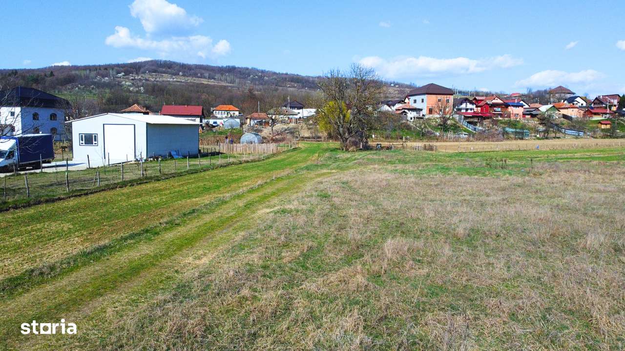 Budesti - Teren 2250 mp-8