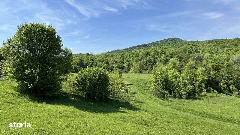 Terenuri cadastrate, de vanzare - in Dambovita, de la 5000€ - Imagine principală: 5/5