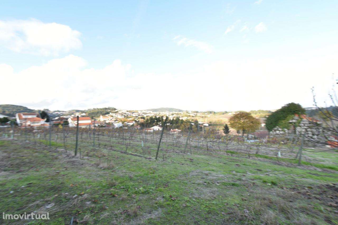 Land for sale in Paredes, Portugal — €250,000