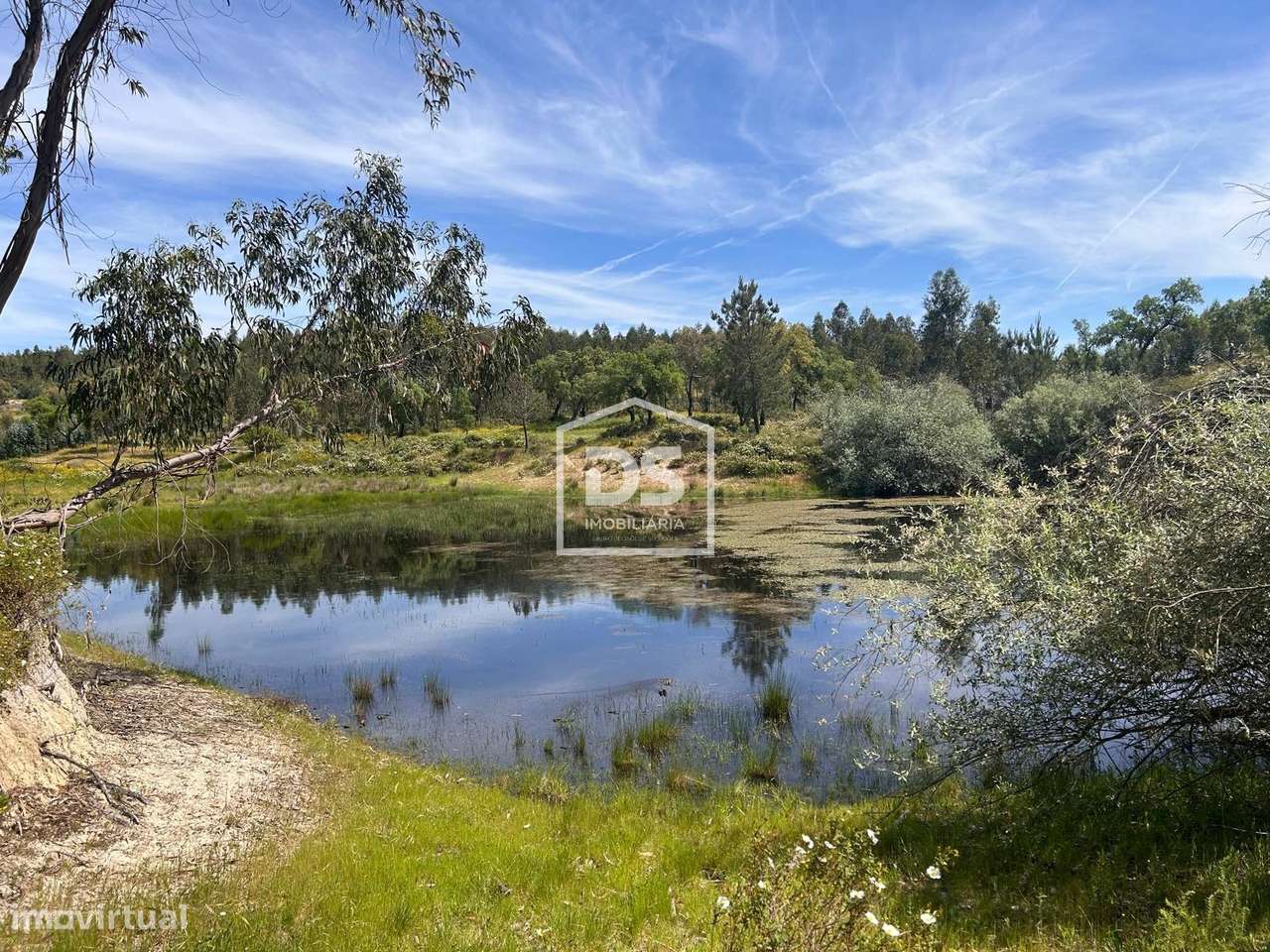 Herdade  Venda em Raposa,Almeirim-6