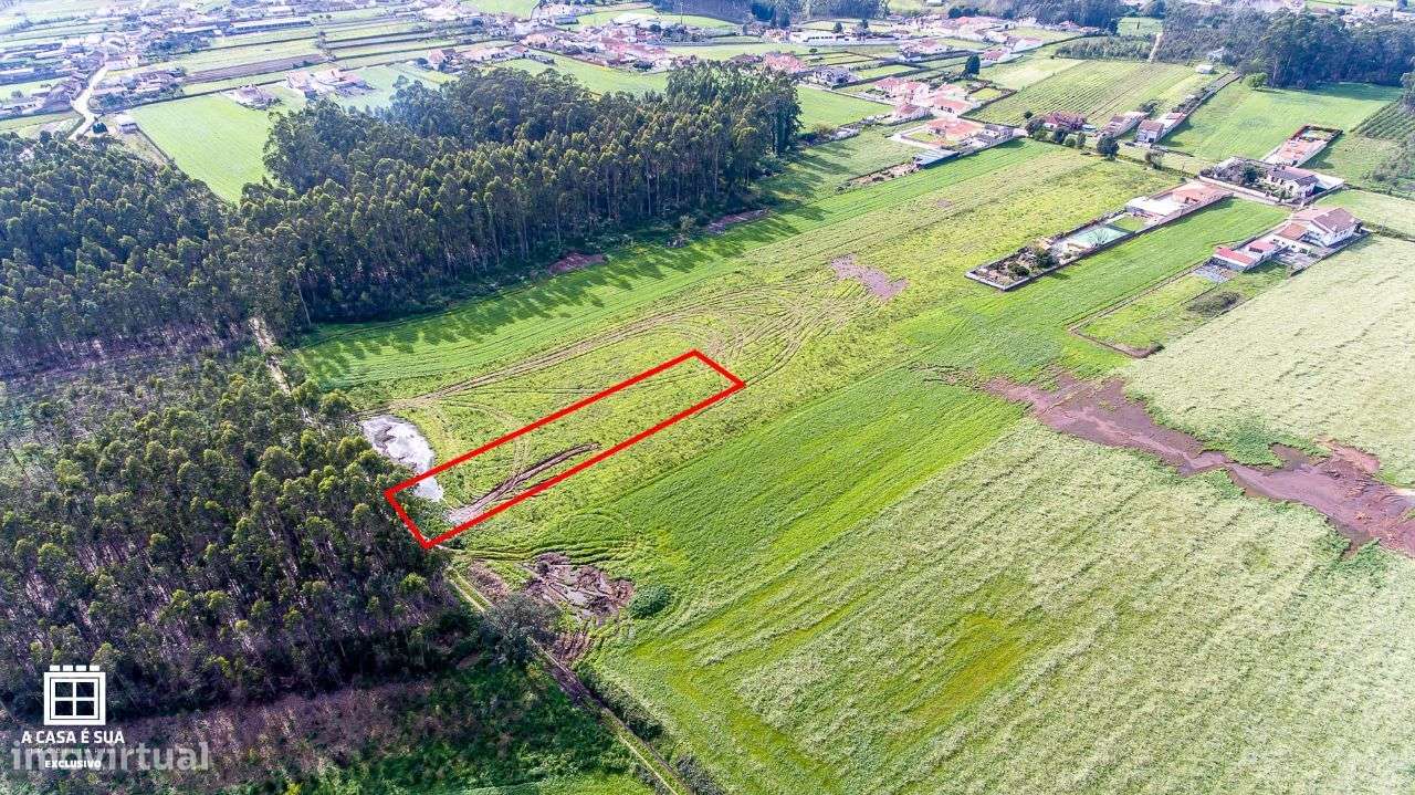 Terreno para cultivo em S. Vicente de Pereira Jusã - Exclusivo - Grande imagem: 5/12