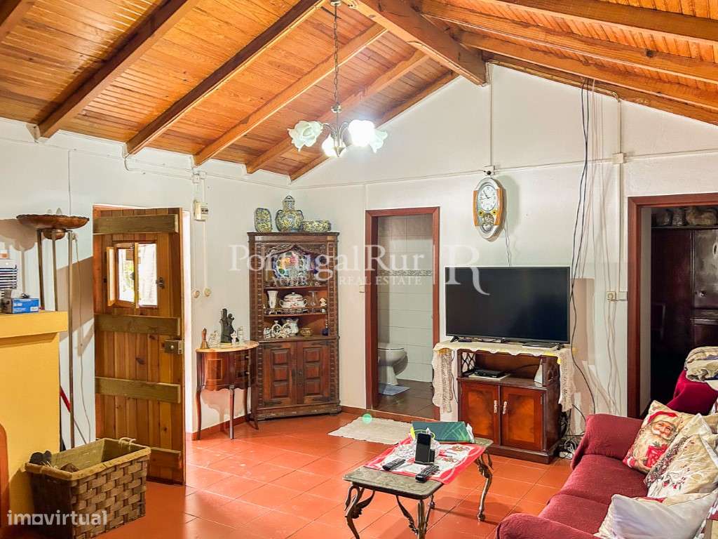 Quinta de 5 hectares, com 2 moradias e piscina-9