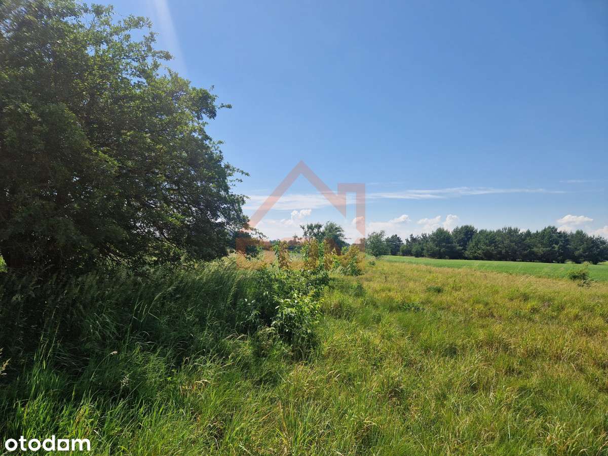 Działka budowlana 3155 m2 Małe Rudy - Pełny obrazek: 4/9