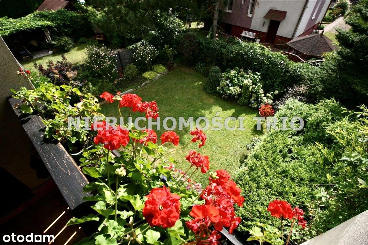 Skrajny szereg w Żywcu w super lokalizacji!-6