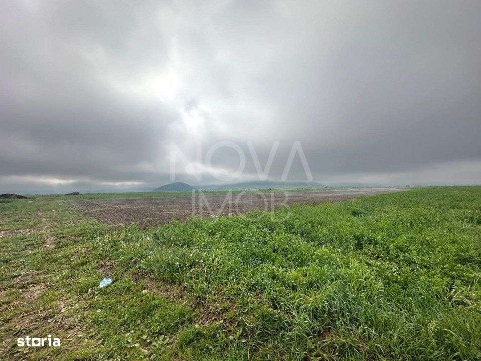 Teren extravilan de vanzare - Gura Raului - Imagine principală: 5/6