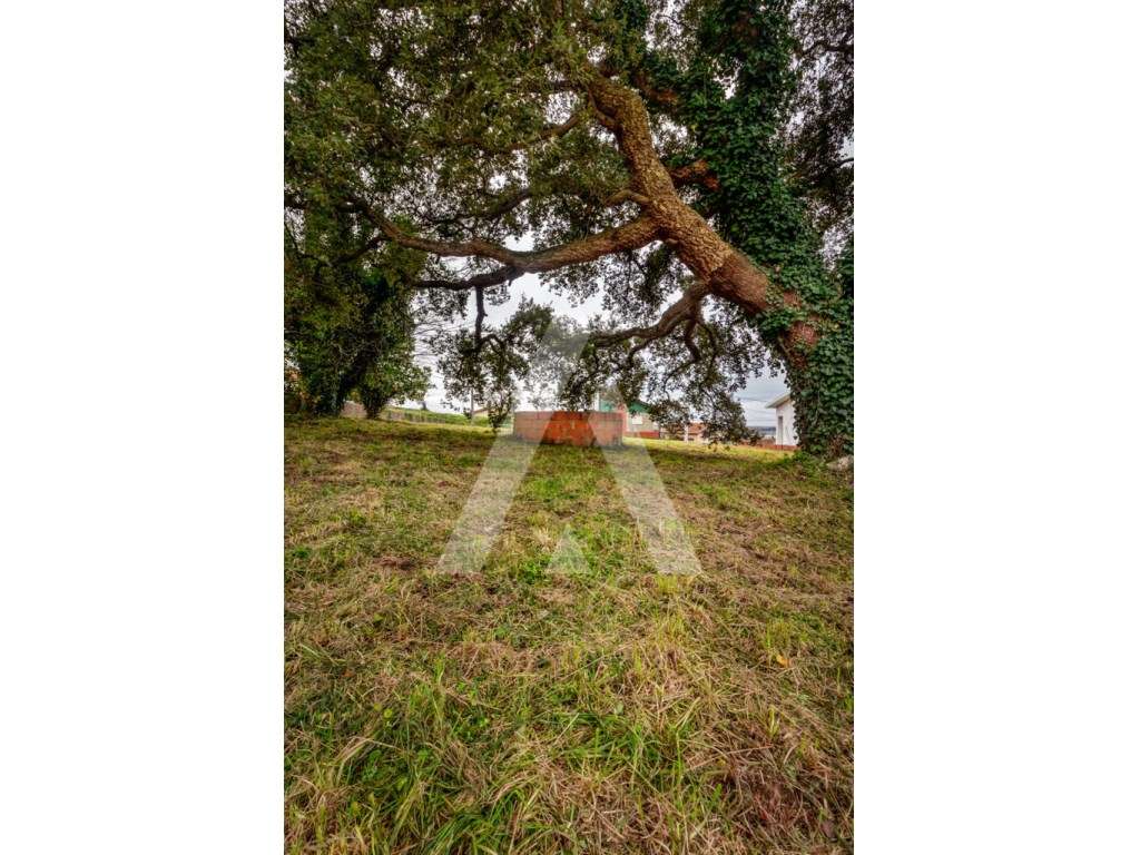 Lote de Terreno para construção de moradia na Sra. Do Monte - Salreu-10