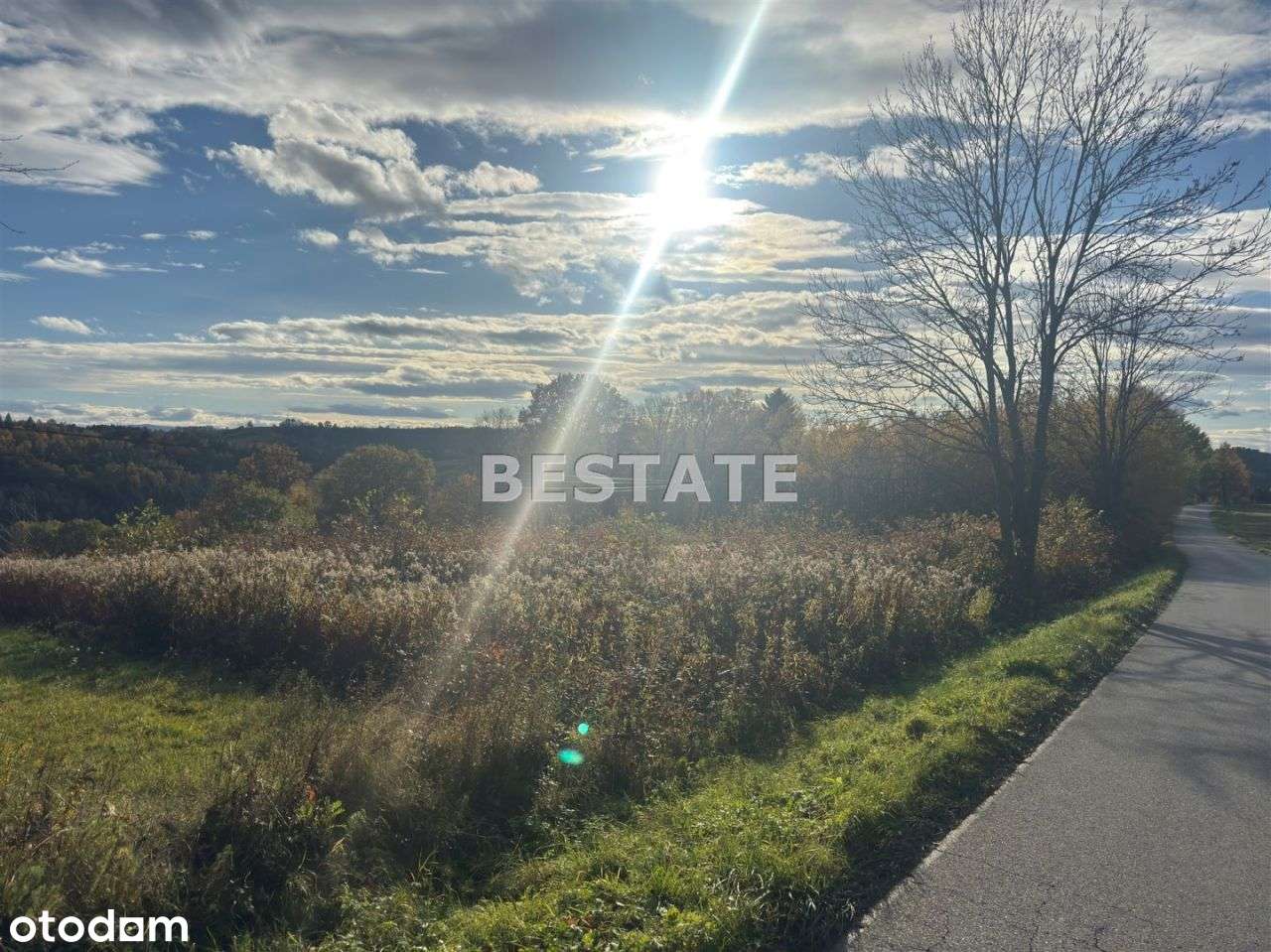 Działka pod mały domek - Pełny obrazek: 5/8