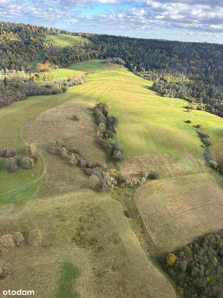 Widokowe działki Bieszczady OKAZJA - Pełny obrazek: 4/4