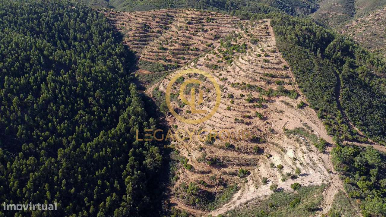 Propriedade de 10 hectares perto da barragem de Odelouca-29