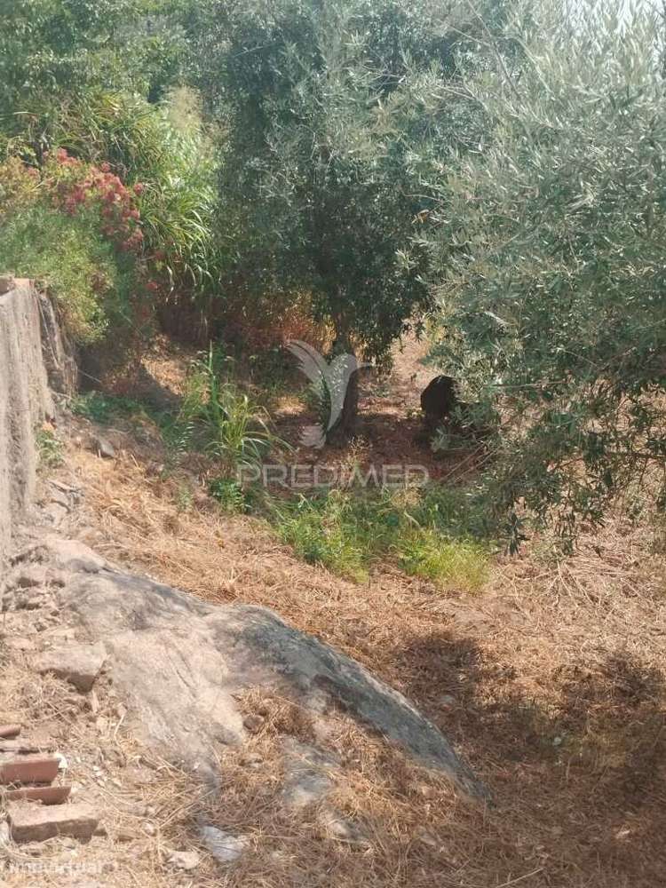 Terreno Urbano com possibilidade de poder construir. - Grande imagem: 4/5