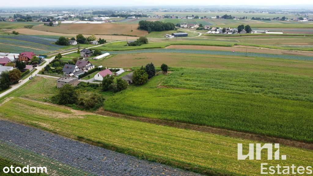 Duża działka 1,64ha| Część budowlana|Cicha okolica - Pełny obrazek: 5/9