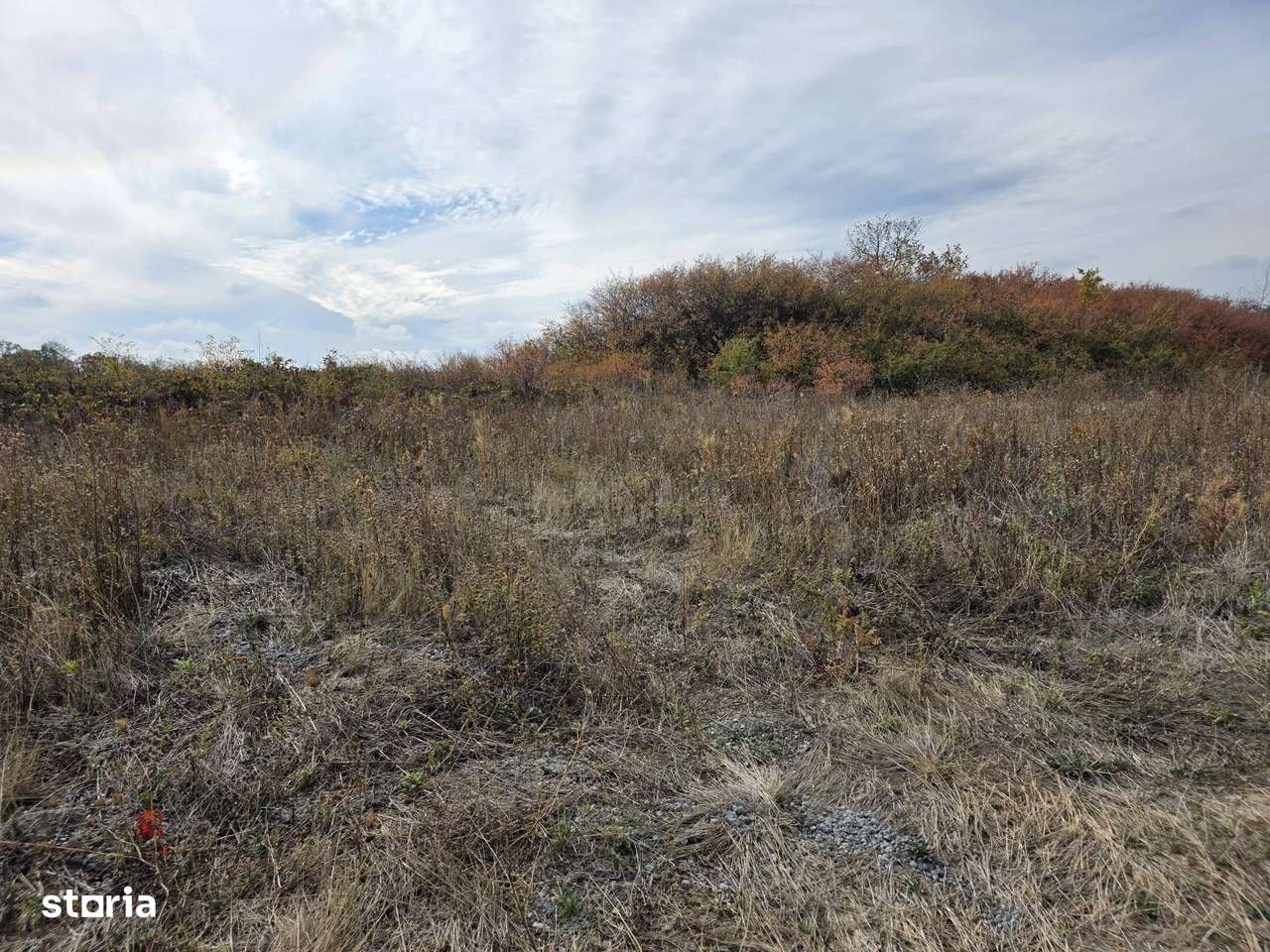 DOUĂ TERENURI DE VÂNZARE ÎN GRIGORESCU 2, ORADEA – 500 MP / PARCELĂ-9