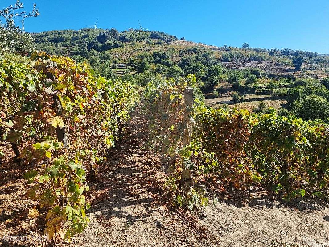 Quinta  para venda-27