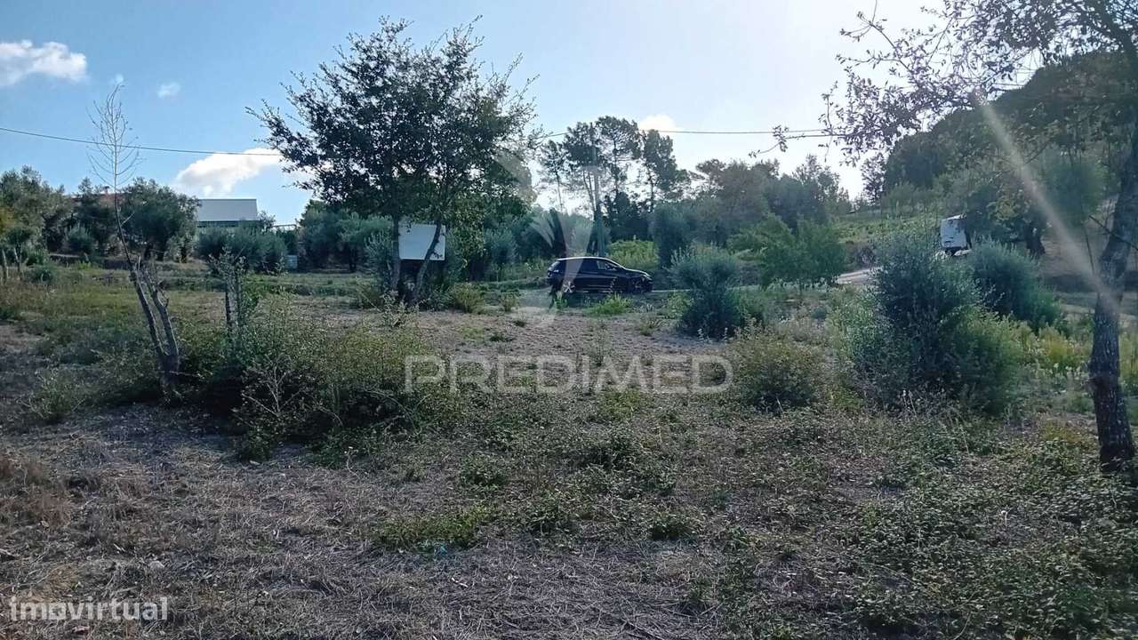 Terreno para construção em Seiça - Grande imagem: 5/21