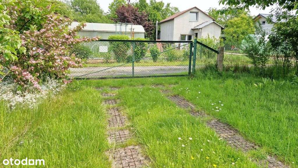 Dwie działki Rod Olszynka - Pełny obrazek: 4/16