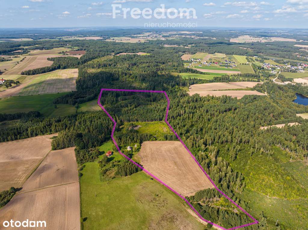 Działka siedliskowa z mpzp - dom, las, cisza - Pełny obrazek: 4/20