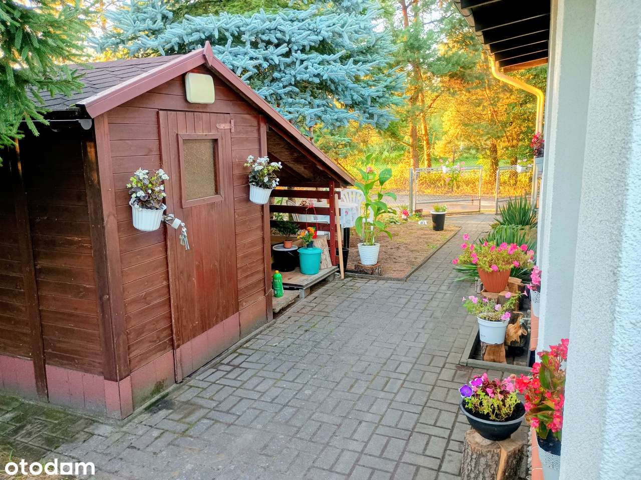 Sława Wlkp., "Szwajcaria Skocka", rekreacyjny, jeziora, lasy, pięknie! - Pełny obrazek: 4/20