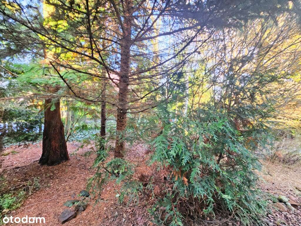 Na sprzedaż parterowy dom/bliźniak/Pawłowice-12