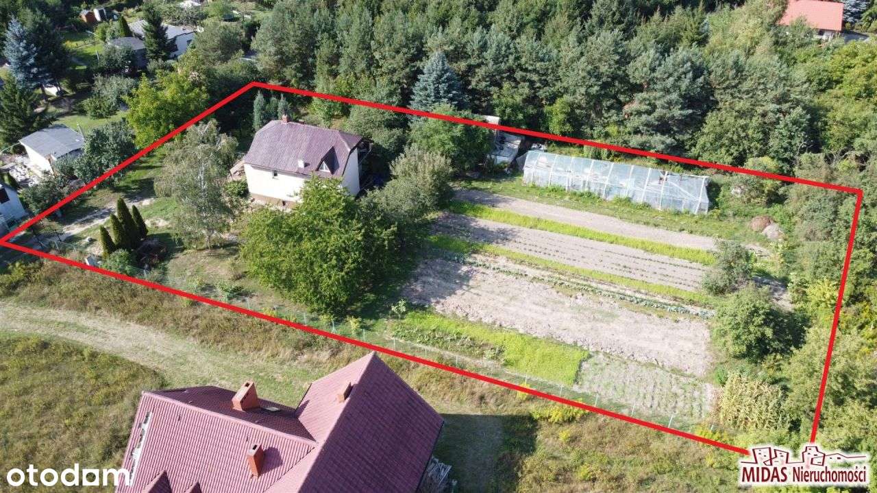 Wolnostojący dom z dużą działką - Pełny obrazek: 5/20