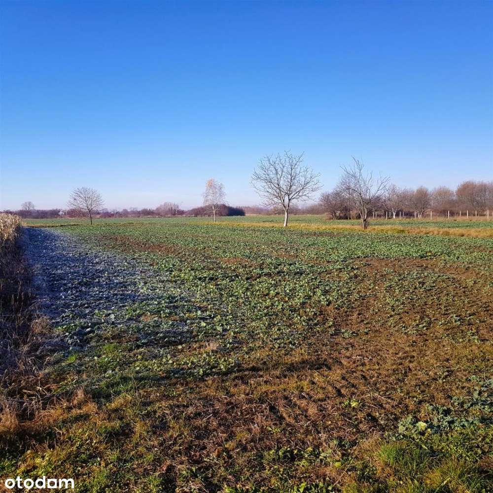 Dom z Ogromnym Potencjałem Inwestycyjnym w Krakow - Pełny obrazek: 5/7