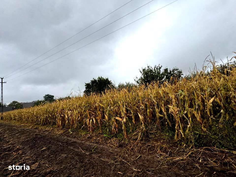 Adresa in Romania-  casa batraneasca demolabila cu 2050 mp teren-12