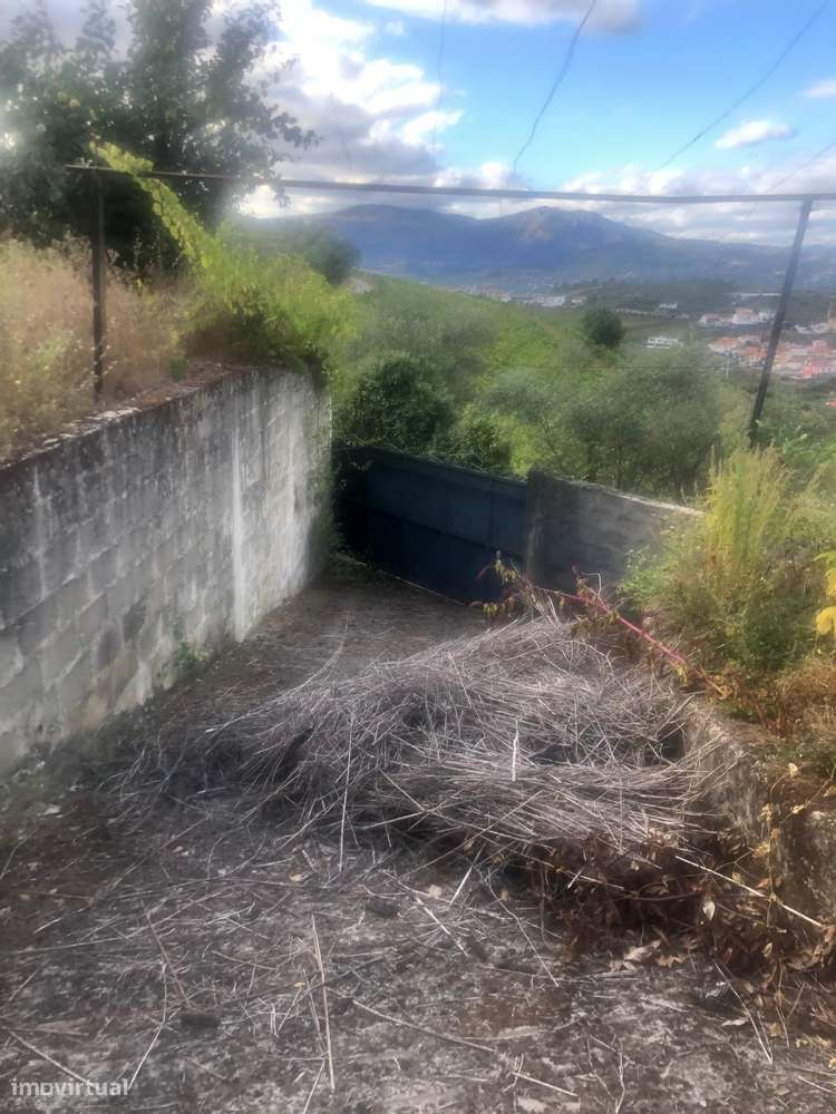 Casa de campo - 6 km do Rio Douro - Régua-5