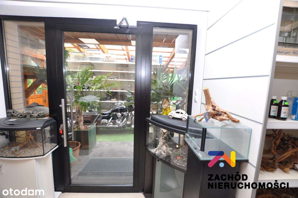 Lokal do wynajęcia Jędrzychów - Pełny obrazek: 4/10