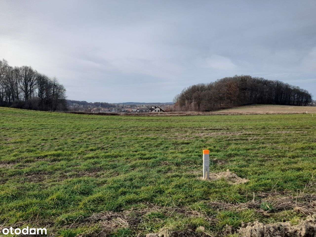 Działki Budowlane - Pełny obrazek: 4/18