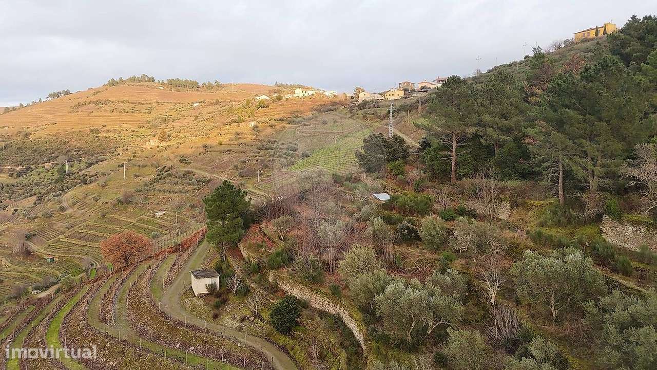 Terreno  para venda-7